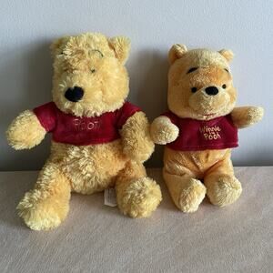 Lot Of 2 Winnie the Pooh Plus